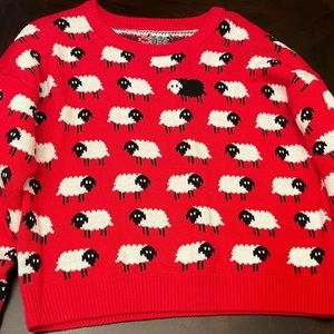 Francesca’s Black Sheep Sweater